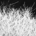 Article image of: Chitin and Chitosan Fibers: Versatile Biopolymer Fibers with Diverse Applications