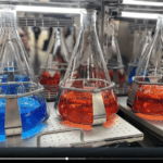 Article image of: Analis & Labwit Scientific:  a new expanded partnership to the Netherlands