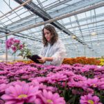 Article image of: Belangrijkste topics bij fytosanitair onderzoek