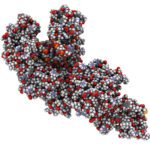 Article image of: PCR blijft topper in de moleculaire diagnostiek