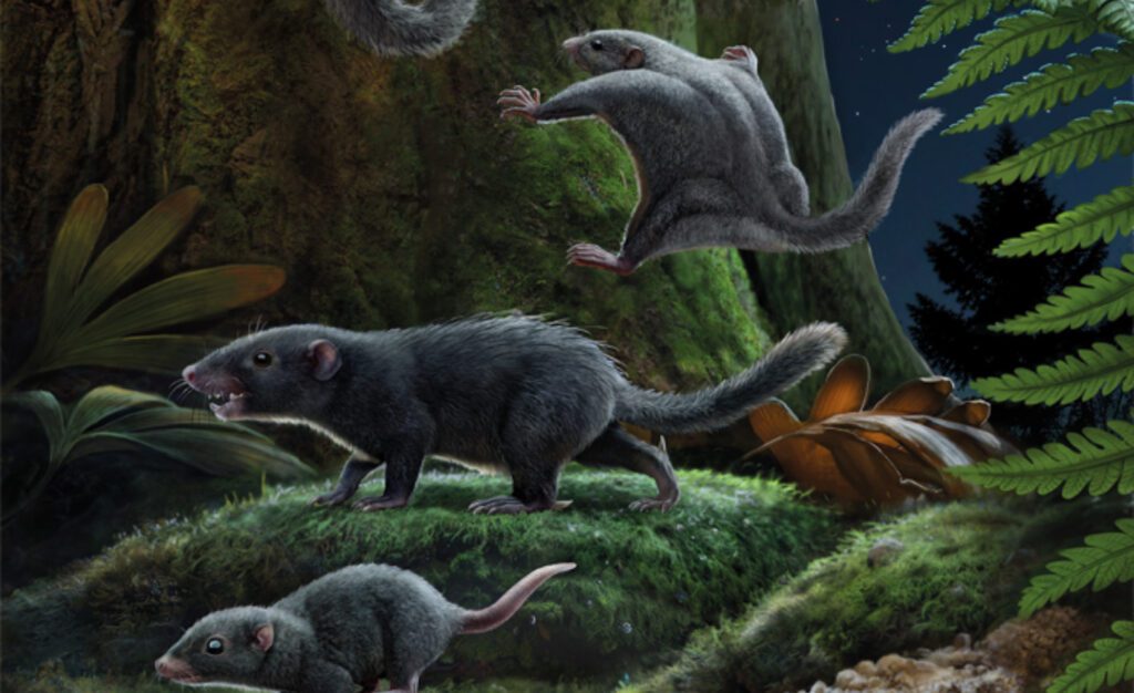 Article image of: Onderzoek onthult vachtkleur oerzoogdieren