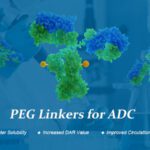 Article image of: Monodispersed PEG Linkers Enhance Antibody–Drug Conjugates (ADCs)