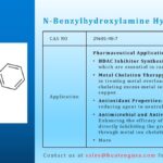 Article image of: Pharmaceutical Potential of N-Benzylhydroxylamine Hydrochloride (CAS 29601-98-7)