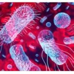 Article image of: Exploring Popular API Types for Lab Research: A Comprehensive Overview