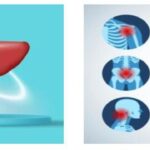 Article image of: Exploring D-Pantethine: Safety, Efficacy, and FAQs