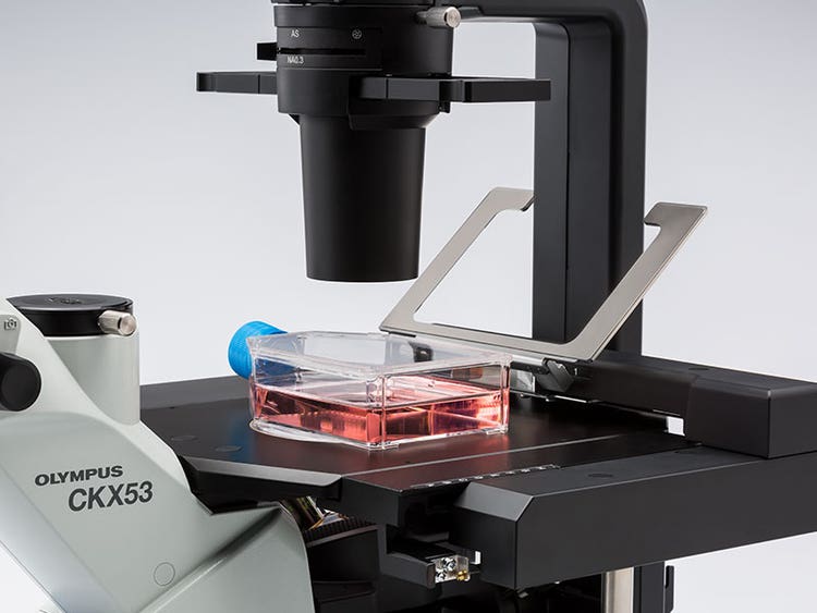 Article image of: Enhance Your Cell & Tissue Culture Workflow, by Simplifying Every Step
