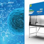 Article image of: Speciale Nederlandse flowkasten