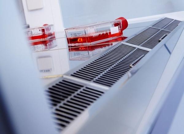 Article image of: Microbiologische veiligheidskabinetten van Labogene: Innovatie in veiligheid en ergonomie