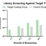 Phage Display LlaVHHL-2 Llama Naïve Single Domain Antibody Library
