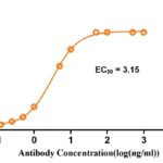 Custom Antibody Production and QC Services