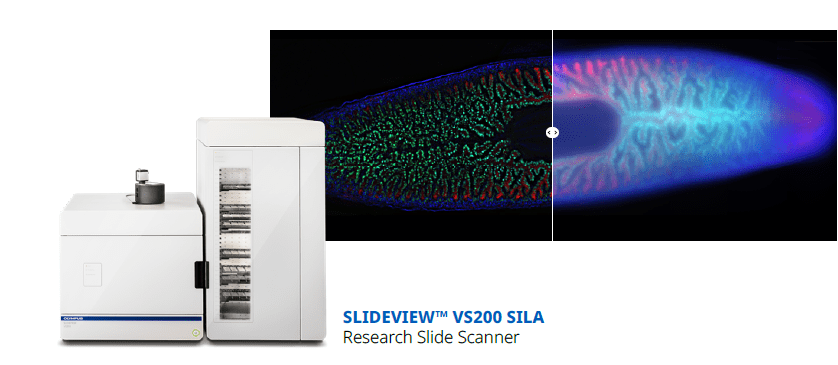 Article image of: How to Get Better Images from Deep within Your Sample?