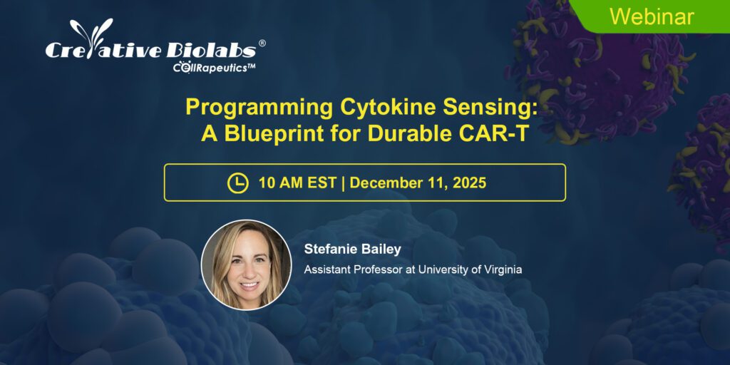 Header visual of : Programming Cytokine Sensing: A Blueprint for Durable CAR-T