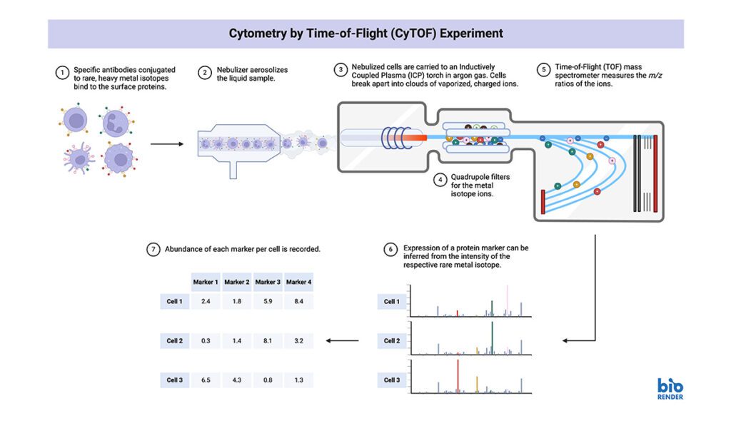 Article image of: 5 Tips voor juist gebruik van CyTOF