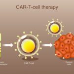 Article image of: Next CAR-T Discovery: An Integrated Innovation Path from Discovery to Validation