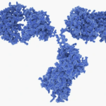 Article image of: PEI PLGA Nanoparticles for Gene Delivery and Gene Therapy