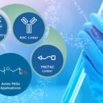 Article image of: Monodispersed Azide-PEGs: Precision Linkers Driving the Next Generation of ADC Development
