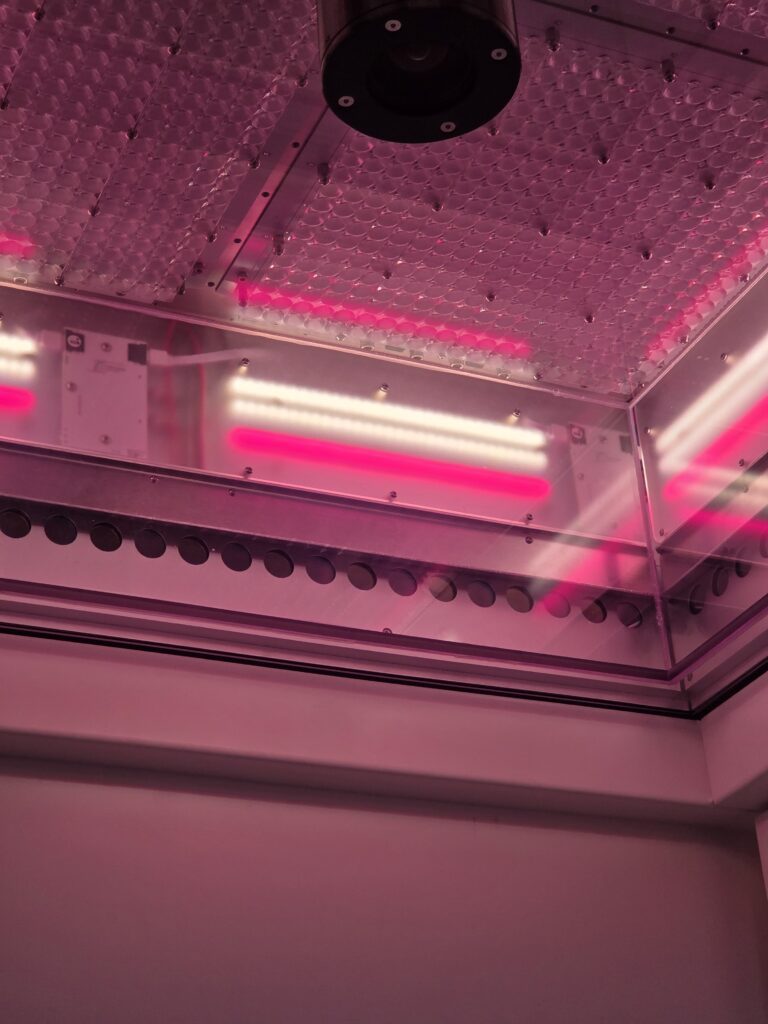 Article image of: Where climate control meets phenotyping: Bronson & PhenoVation in action