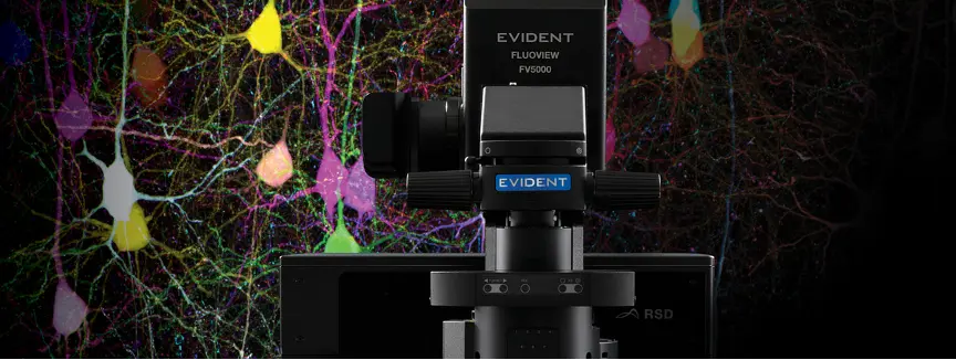 EVIDENT FV5000 - Confocal Laser Scanning Imaging System