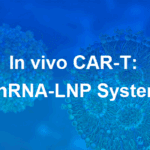Article image of: In Vivo CAR-T and Targeted mRNA Delivery: From Research to Early Clinical Translation