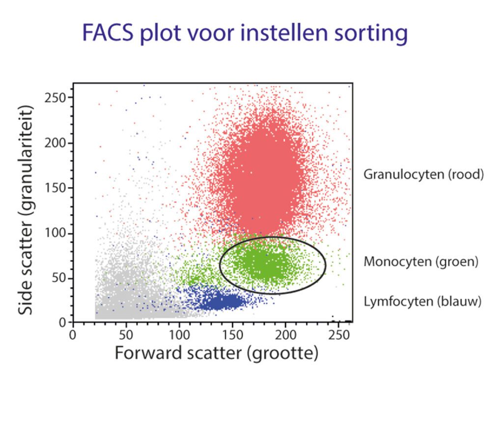 FACS plot met scheiding van monocyten op basis van forward (celgrootte) en side scatter (celgranulariteit)