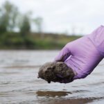 Article image of: Kapitaalinjectie voor duurzaamheidsonderzoek PFAS, pesticiden en microplastics