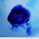 Article image of: The Scientific Versatility of Methylene Blue in Experimental and Clinical Settings