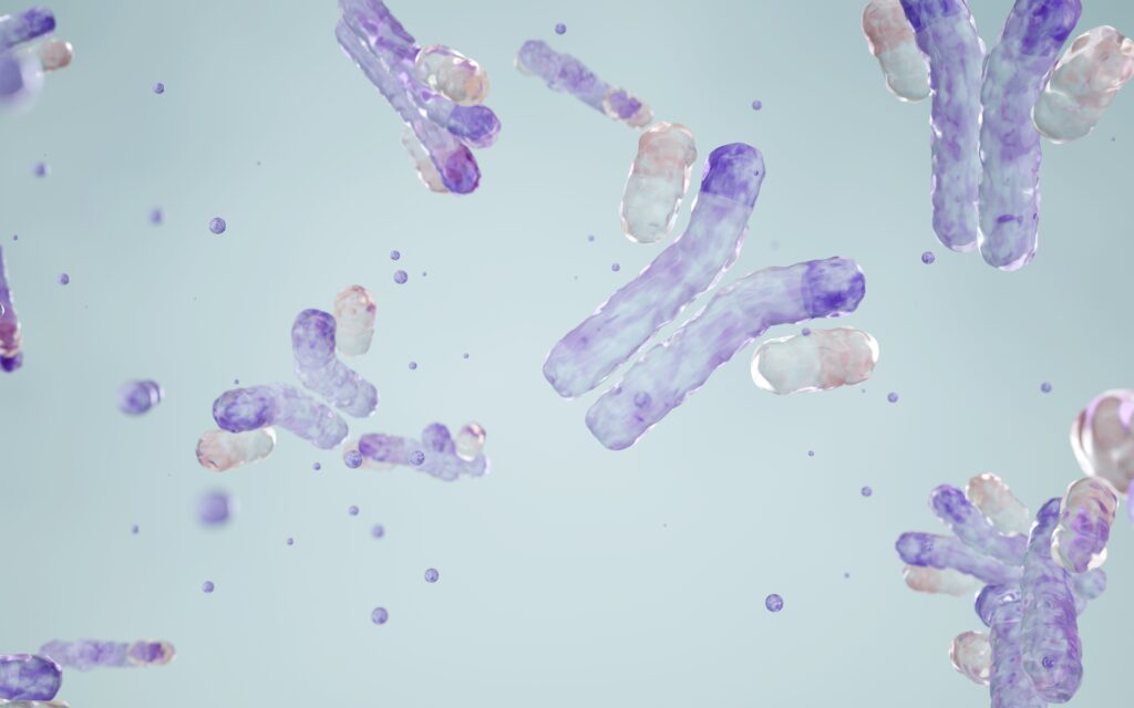 Antibody Engineering