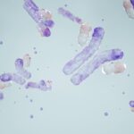 Article image of: New Antibody Engineering Solutions Target the Tumor Microenvironment and Soluble Antigen