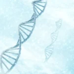 Article image of: Precision Medicine – NGS sequencing is key to identify specific genetic mutations & molecular biomarkers.