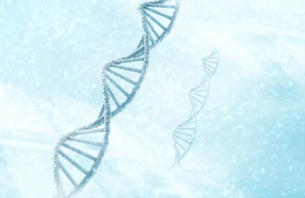 Precision Oncology - GeneMind’s Targeted Sequencing Solutions