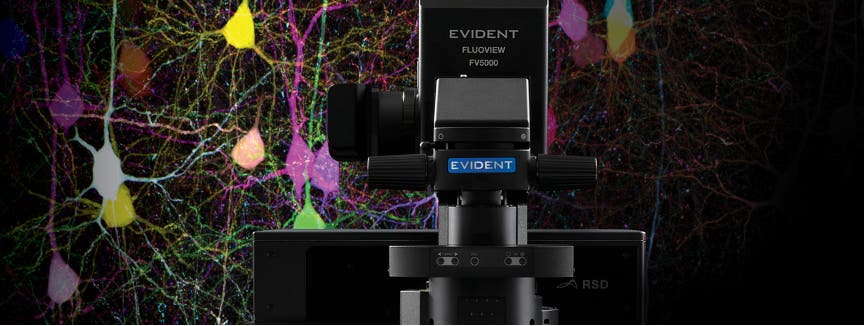 Analis - Evident FV5000 and SpinXL microscope systems