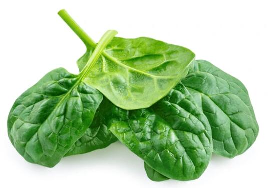 Separation of plant pigments