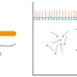 Article image of: How to Analyze Surfactants Using HPLC: Principles, Procedures, and Troubleshooting