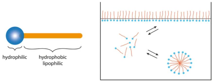 surfactant-analysis-by-hplc-a-comprehensive-guide-1