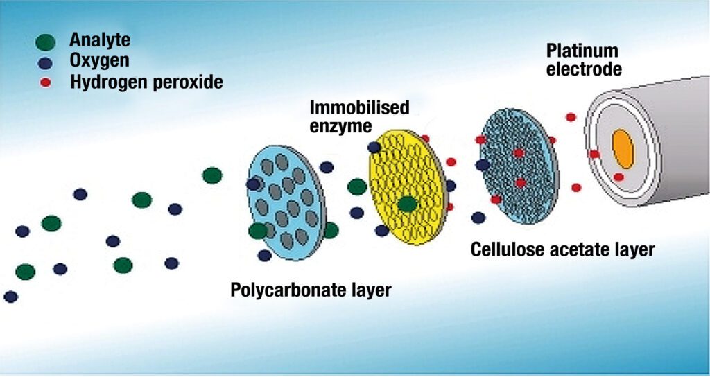 Article image of: Automated lactate meter essential to quality control at Vreugdenhil
