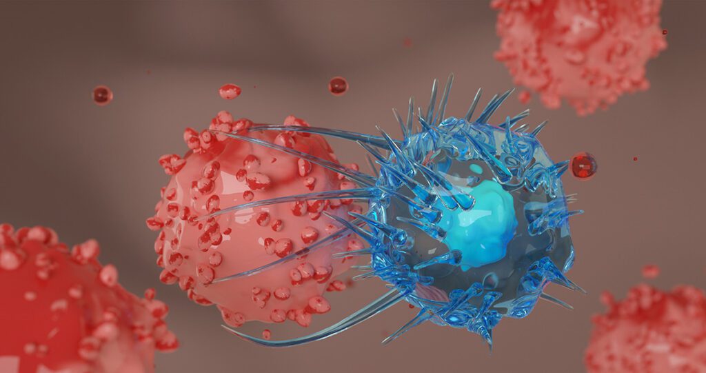 Cytotoxic T cells (blue) attack a cancer cell (red).