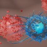 Article image of: Creative Biolabs Links CAR-T Engineering to Solid Tumor Model Testing