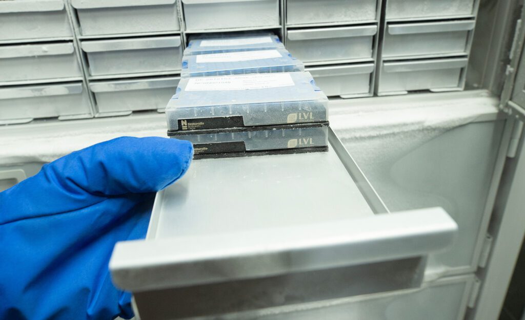 Article image of: Toekomst van biobanking: internationalisering en smart technology